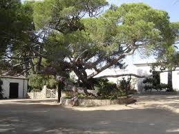 Casa di Garibaldi Casa di Garibaldi