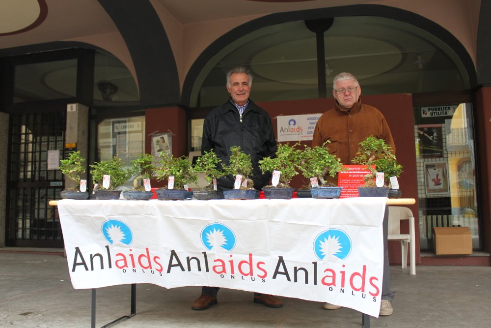 2014-07-17 - Anlaids 2014